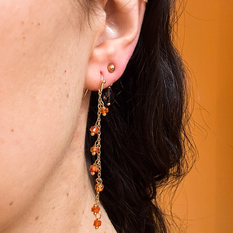 stainless steel oorbel carneool